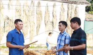Vận động đồng bào có đạo sống 'tốt đời, đẹp đạo'