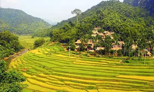 Pù Luông 'thiên đường giữa đại ngàn'