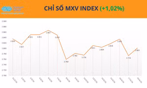 Sắc xanh lan tỏa, MXV-Index vượt ngưỡng 2.800 điểm