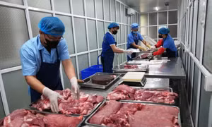 Kiểm soát chất lượng sản phẩm: Xây dựng hệ sinh thái phòng ngừa rủi ro sớm