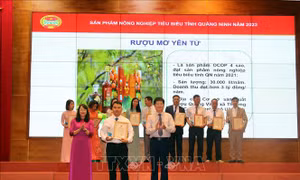 Gương nông dân Việt Nam xuất sắc: Nâng giá trị quả mơ Yên Tử