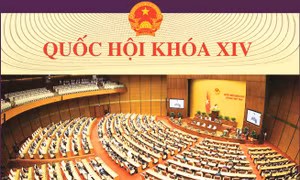 Giới thiệu sách ảnh 'Quốc hội khóa XIV - Những thành tựu và dấu ấn nổi bật'