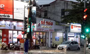 Các tỉnh, thành phố từ Quảng Ninh đến Bình Thuận chủ động ứng phó với áp thấp nhiệt đới