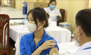 Tổng hợp COVID-19 ngày 30/12: Tiêm vét vaccine phòng COVID-19 cho người từ 12 tuổi trở lên; ghi nhận 240 ca tử vong
