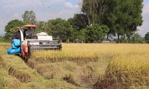 Đột phá phát triển kinh tế tập thể