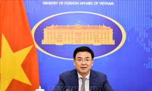 Thúc đẩy hơn nữa quan hệ hữu nghị và hợp tác nhiều mặt Việt Nam - châu Phi