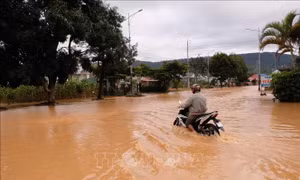 Quốc lộ 20 đi Đà Lạt bị ngập sâu, ô tô không thể lưu thông
