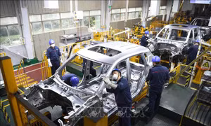 Hàn-Trung hướng tới mở rộng trao đổi kinh tế để cùng ứng phó dịch COVID-19