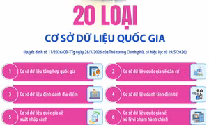 20 loại cơ sở dữ liệu quốc gia