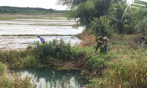 Phát hiện thi thể người phụ nữ chết bất thường giữa đồng vắng