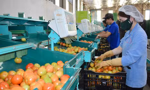 Nhận diện logistics ở Lâm Đồng: Vừa thiếu lại vừa yếu