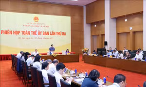 Tạo không gian cho báo chí phát triển nhân văn, chuyên nghiệp, hiện đại
