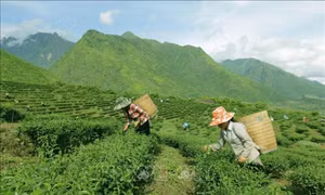 Nghị quyết giám sát chuyên đề về triển khai thực hiện các chương trình mục tiêu quốc gia