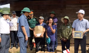 Khảo sát tuyến đường Trường Sơn Đông đoạn qua huyện Lạc Dương, tỉnh Lâm Đồng