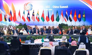 Hội nghị Cấp cao ASEAN: Khai mạc Hội nghị Cấp cao ASEAN - GCC và Trung Quốc