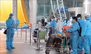 Lâm Đồng cho phép học sinh đang nghỉ hè ở các địa phương khác trở về nhập học