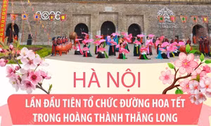 Hà Nội: Lần đầu tiên tổ chức Đường hoa Tết trong Hoàng thành Thăng Long