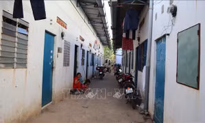 ATM việc làm và phòng trọ cộng đồng tại TP Hồ Chí Minh