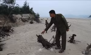 Người dân xã Kỳ Ninh và nỗi lo biển 'nuốt' làng