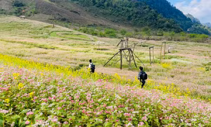 Phát triển du lịch ở Vân Hồ
