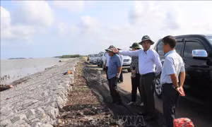 Khảo sát tiến độ khắc phục sụt lún, sạt lở đất tại huyện Trần Văn Thời