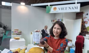 Việt Nam là điểm sáng cho hoạt động đầu tư kinh doanh của Italy