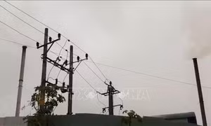 Bình Định: Người dân bức xúc vì phải sống chung với mùi hôi, khét từ lò đốt của công ty may