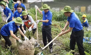 Phát huy sức trẻ vì môi trường xanh