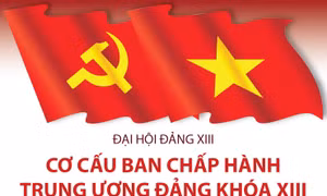 Cơ cấu Ban Chấp hành Trung ương Đảng khóa XIII