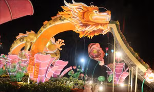 Không khí chuẩn bị đón giao thừa trên 'Đất Sen Hồng'