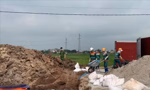 Tiêu hủy hơn 72 tấn nội tạng không rõ nguồn gốc