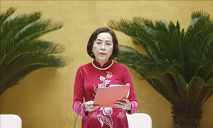 Cần tiêu chí định lượng để xác định mức độ tự chủ của cơ sở giáo dục đại học