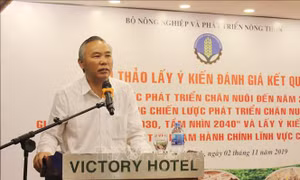 Phát triển ngành chăn nuôi gắn với chế biến sâu và xuất khẩu