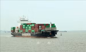 Tổng kiểm soát, xử lý phương tiện kinh doanh vận tải trên đường bộ và đường thủy