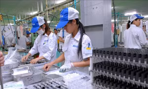 30 năm thu hút FDI: Dấu ấn trong chuyển dịch cơ cấu kinh tế của Việt Nam