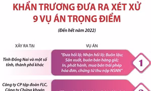 Khẩn trương đưa ra xét xử 9 vụ án trọng điểm