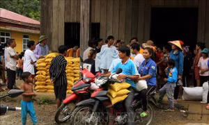 Ổn định đời sống cho đồng bào người Rục sau lũ