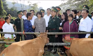 Quyền Chủ tịch nước Đặng Thị Ngọc Thịnh trao bò giống cho hộ nghèo Sơn La