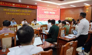 Hoàn thiện các luật về không gian mạng: Phát triển phải gắn với bảo đảm an ninh