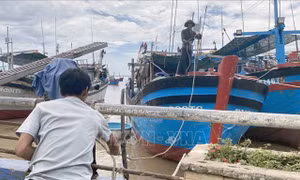 Ứng phó với bão Noru: Ngư dân Phú Yên khẩn trương di chuyển lồng nuôi thủy sản đến nơi an toàn
