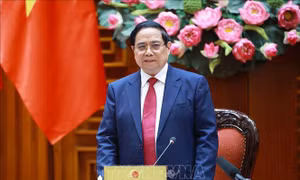 Phân công Thành viên Chính phủ chủ trì làm việc với các địa phương
