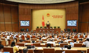 Kỳ họp thứ 8, Quốc hội khóa XIV: Đổi mới công tác xây dựng, quản lý đội ngũ cán bộ, công chức, viên chức