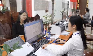Sức bật số từ cơ sở