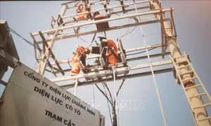Phát huy sứ mệnh 'điện đi trước một bước'