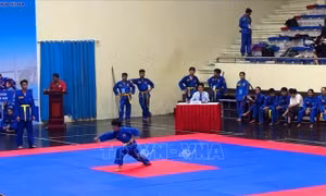 Khai mạc Giải Vovinam miền Bắc lần thứ III năm 2026