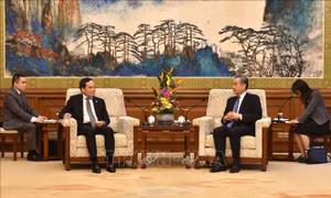 Phó Thủ tướng Trần Lưu Quang hội kiến Bộ trưởng Ngoại giao Trung Quốc Vương Nghị