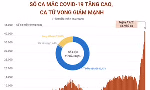 Số ca mắc COVID-19 tăng cao, số ca tử vong giảm mạnh