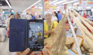 Nghệ An: Xây dựng, phát triển các nền tảng số dùng chung