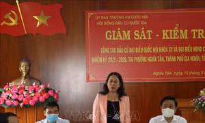 Phó Chủ tịch nước kiểm tra công tác bầu cử tại thành phố Gia Nghĩa