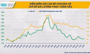 Giá lúa mì - một chỉ báo rủi ro của thị trường nông sản từ các cuộc xung đột 